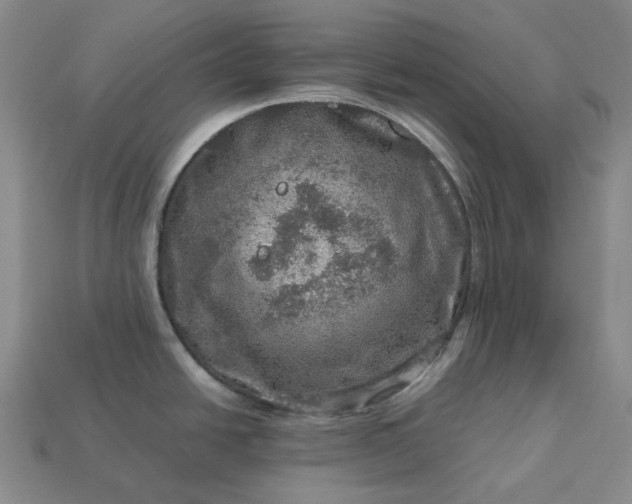 X0000112951438200909071106