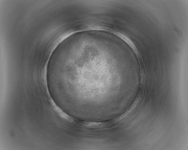 X0000112951439200909071106