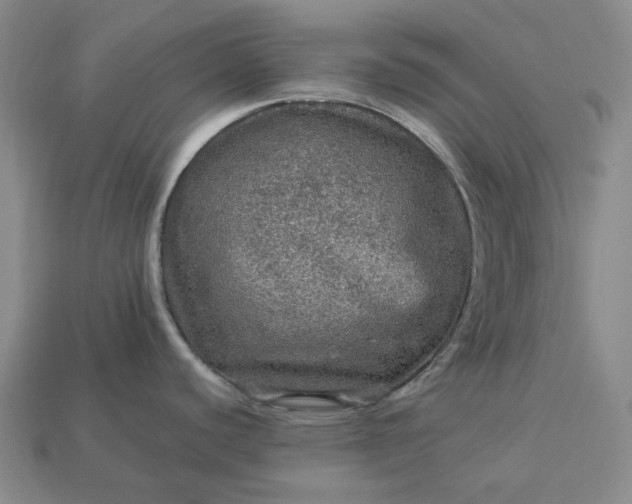 X0000112951440200909071106