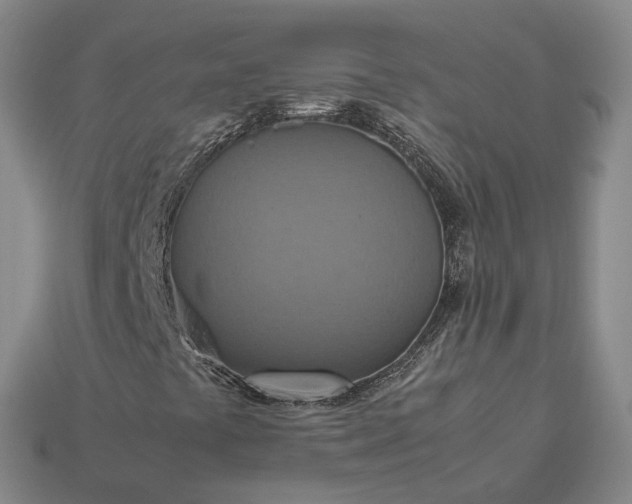 X0000112951441200909071106