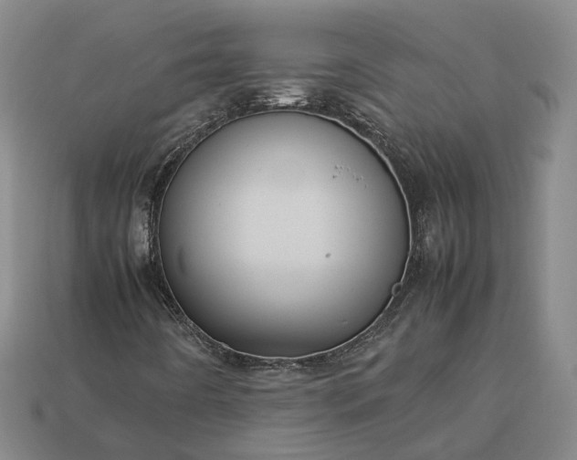 X0000112951442200909071106