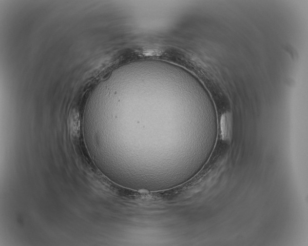 X0000112951443200909071106