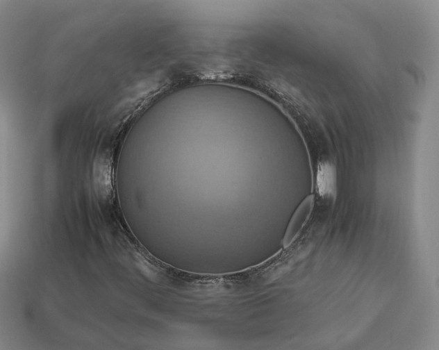 X0000112951444200909071106