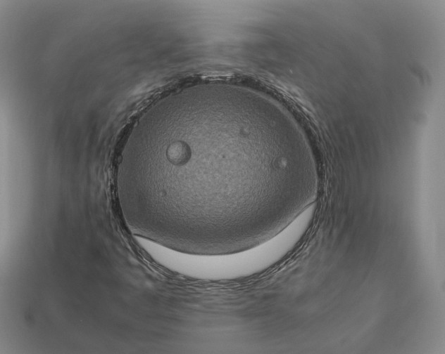 X0000112951445200909071106