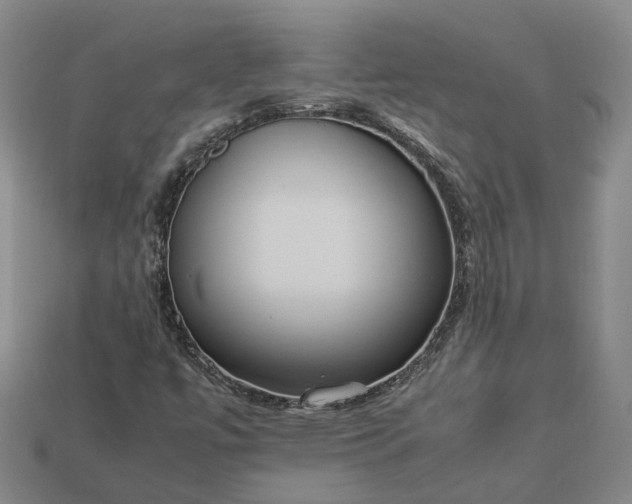 X0000112951447200909071106