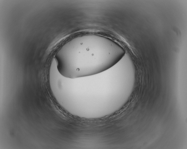 X0000112951448200909071106