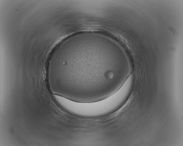 X0000112951449200909071106