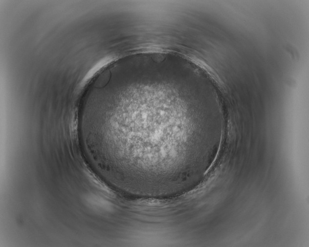 X0000112951450200909071105