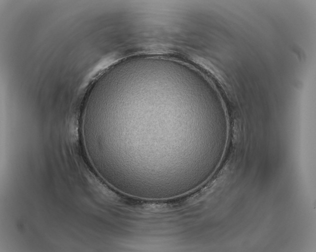 X0000112951451200909071105