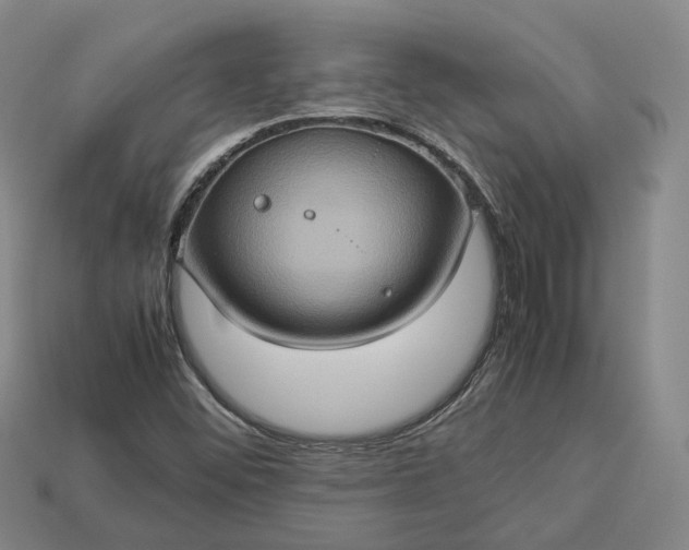 X0000112951452200909071105