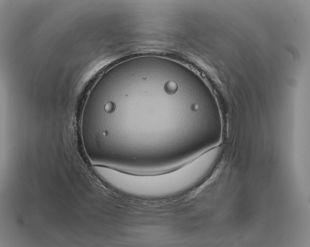 X0000112951453200909071105