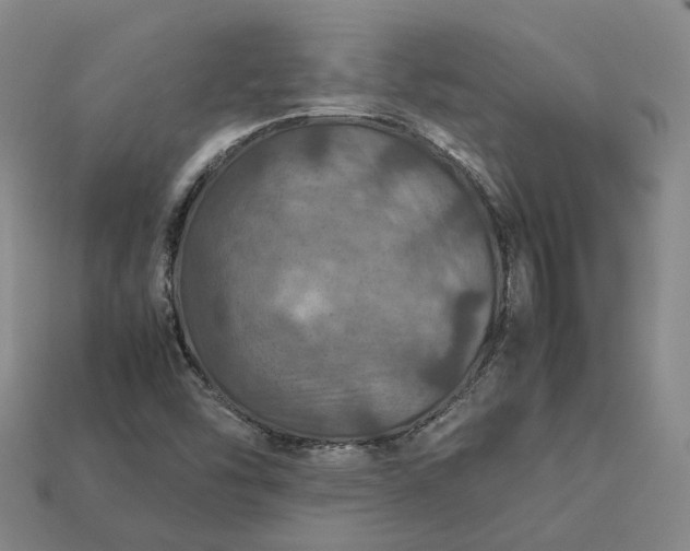 X0000112951454200909071105