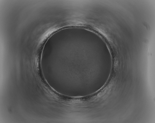 X0000112951455200909071105