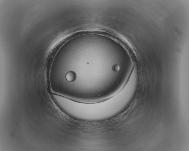 X0000112951456200909071105