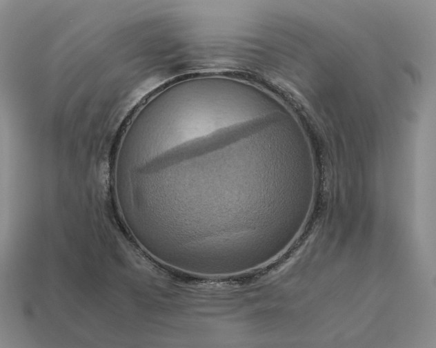 X0000112951457200909071105