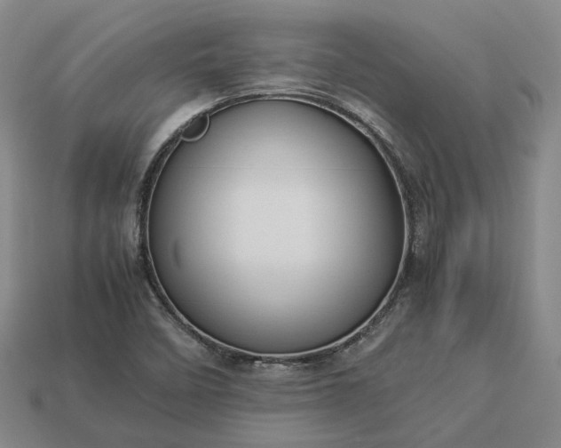 X0000112951458200909071105