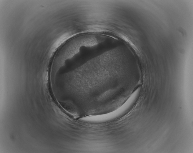 X0000112951459200909071105