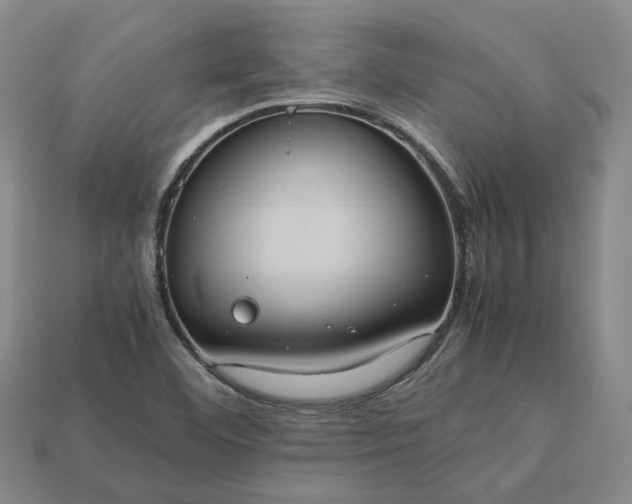 X0000112951460200909071105