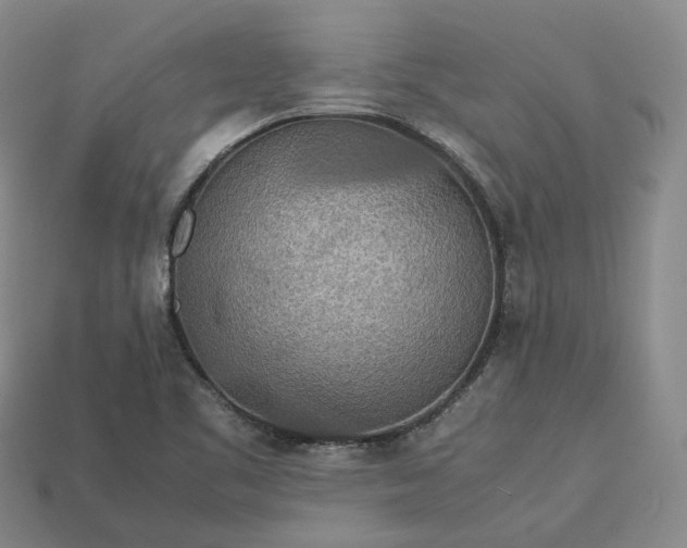 X0000112951461200909071105