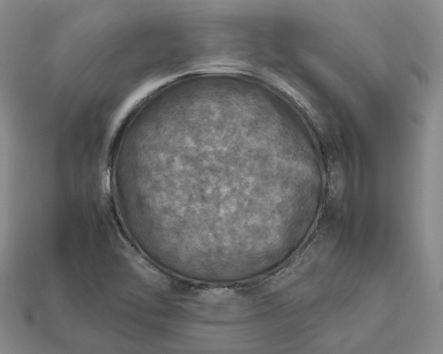 X0000112951462200909071105