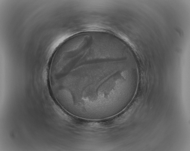 X0000112951463200909071105