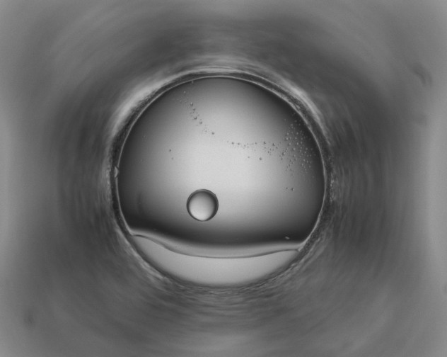 X0000112951464200909071105