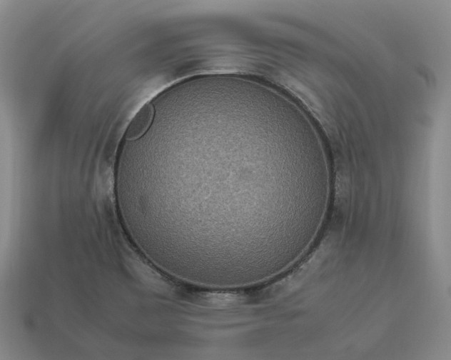 X0000112951465200909071105