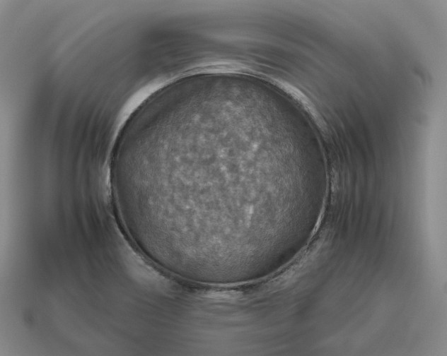 X0000112951466200909071105