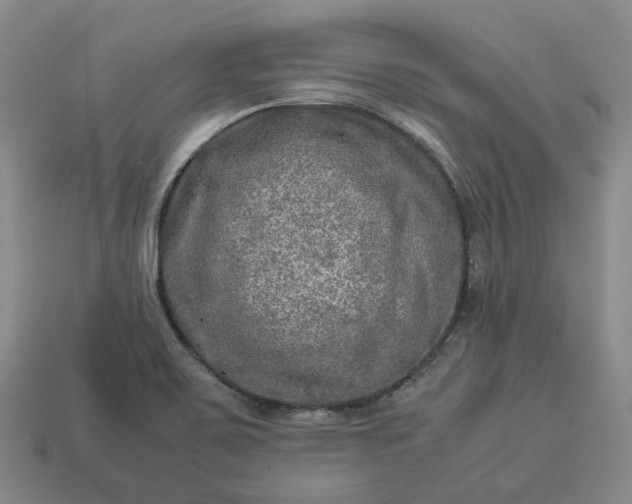 X0000112951467200909071105