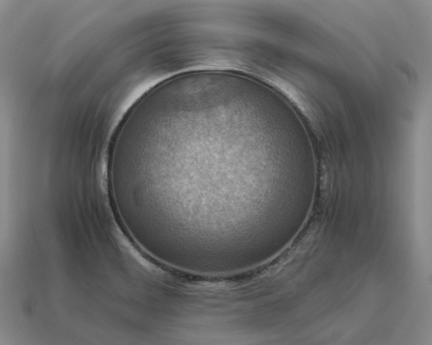 X0000112951468200909071105