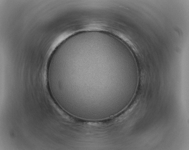 X0000112951469200909071105