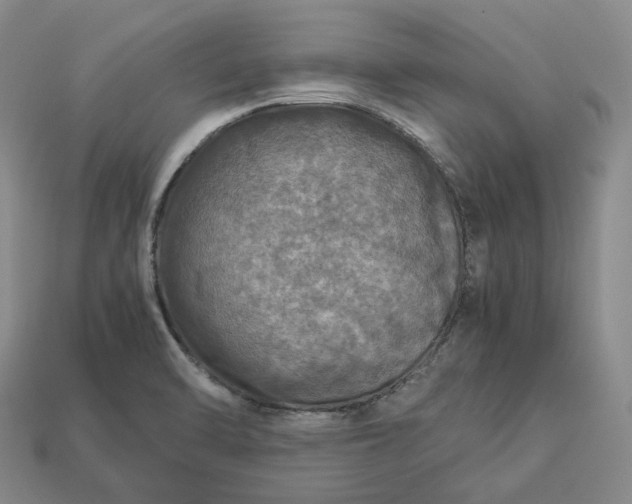 X0000112951470200909071105