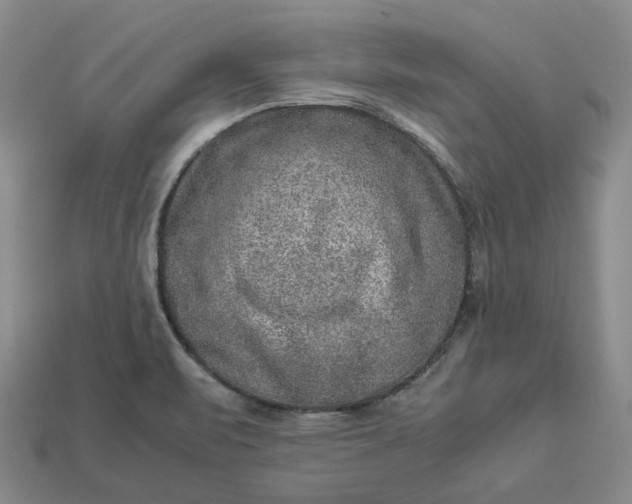 X0000112951471200909071105