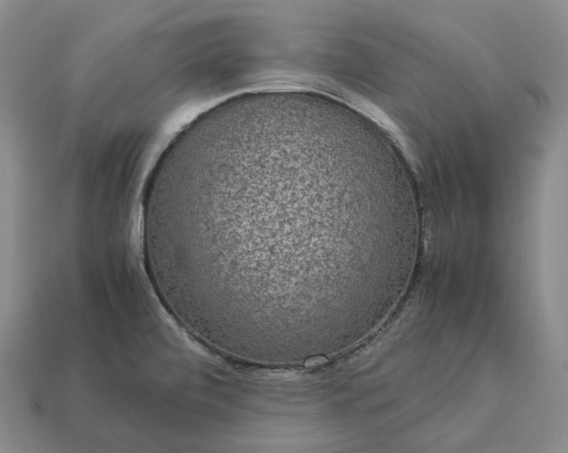 X0000112951472200909071105