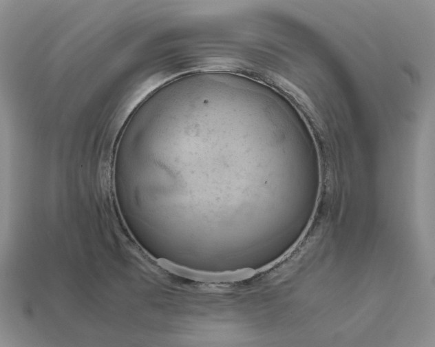 X0000112951473200909071105