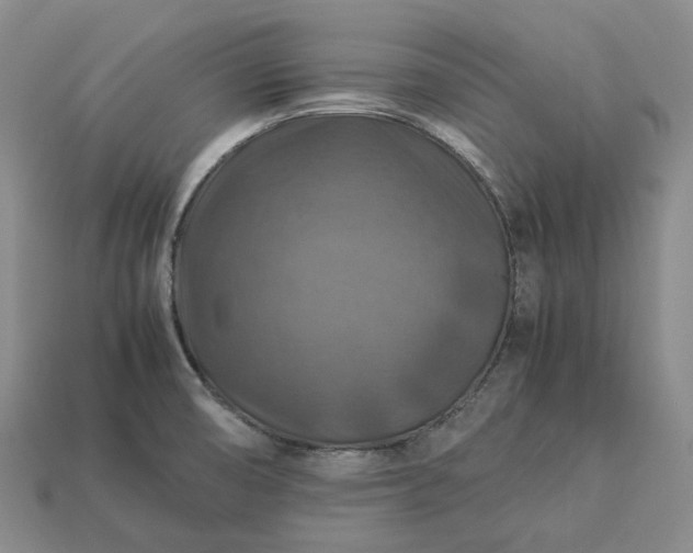 X0000112951474200909071105