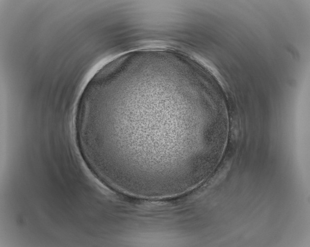 X0000112951475200909071105