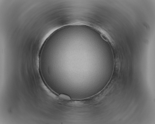 X0000112951476200909071105