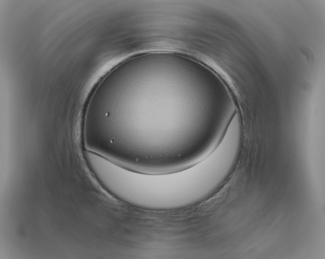 X0000112951477200909071105