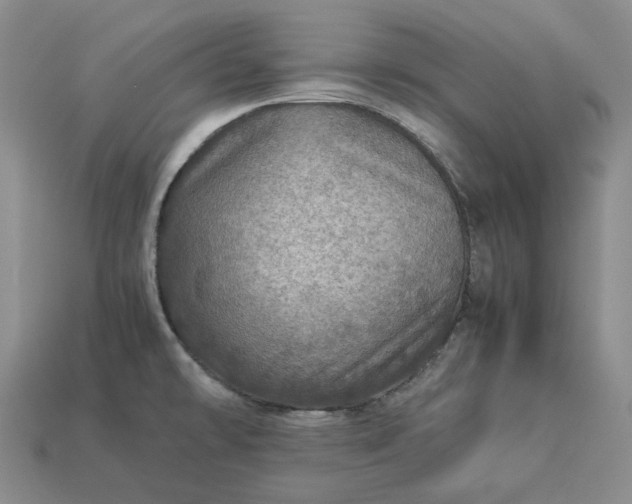 X0000112951478200909071105