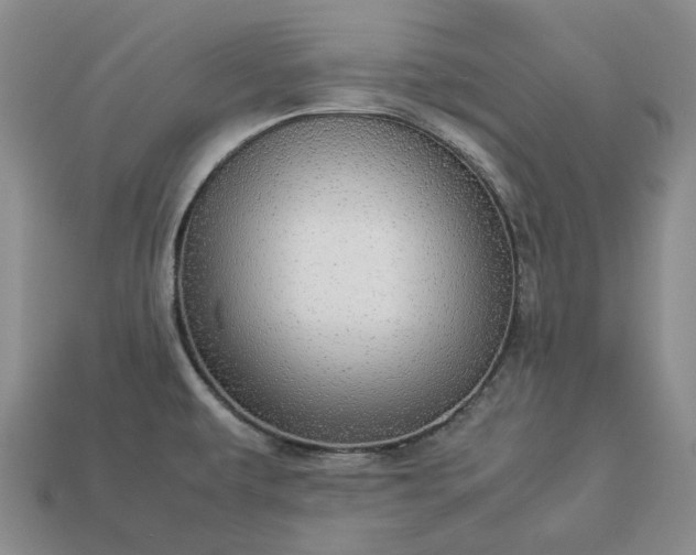 X0000112951479200909071105