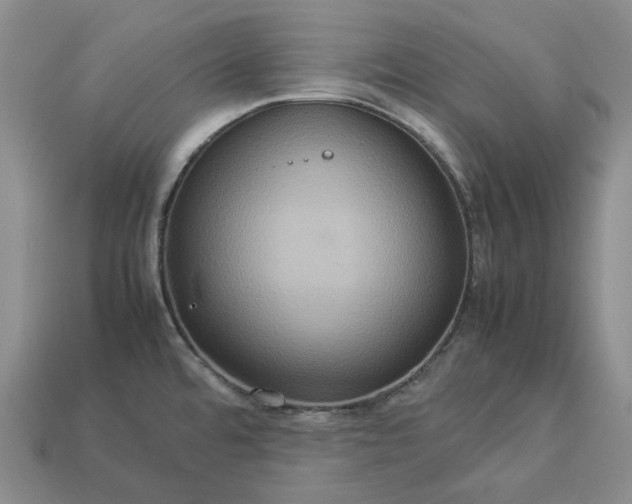 X0000112951480200909071105