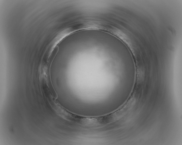 X0000112951481200909071105