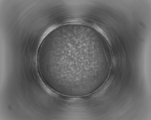 X0000112951482200909071105