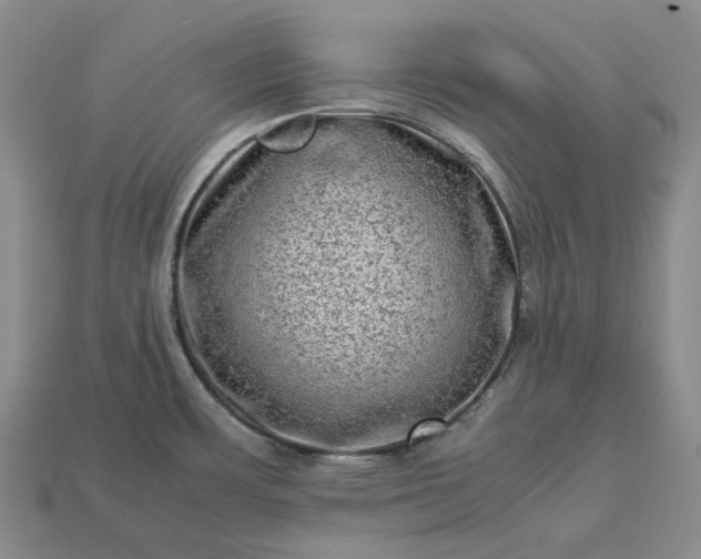 X0000112951483200909071105