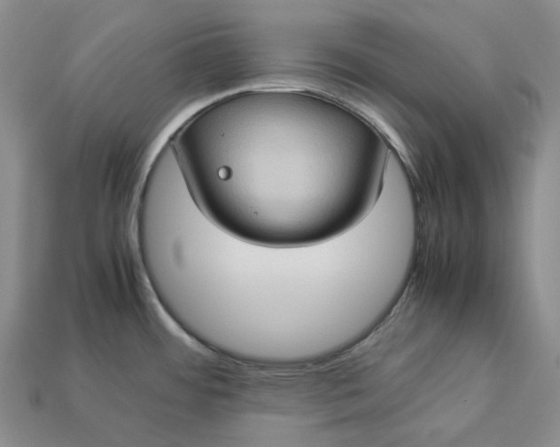 X0000112951484200909071105