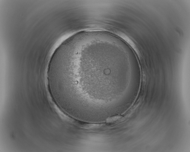 X0000112951485200909071105