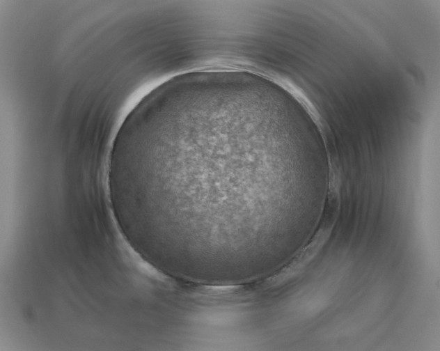 X0000112951486200909071105