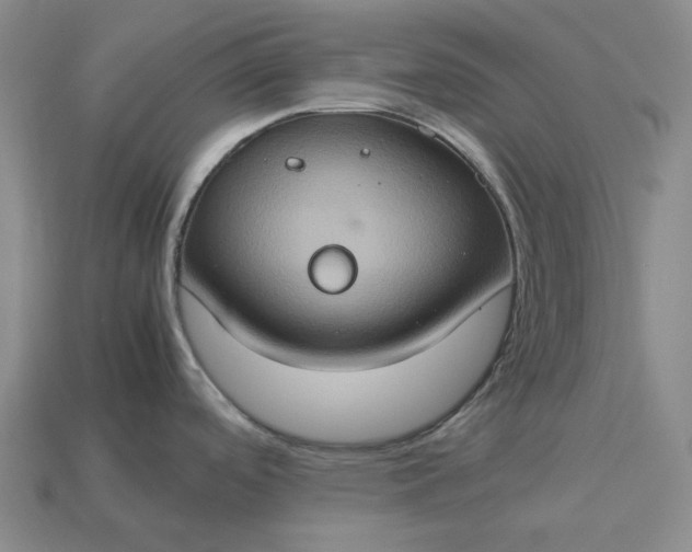 X0000112951488200909071105