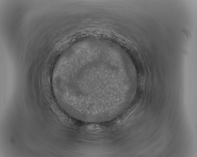 X0000112951489200909071104